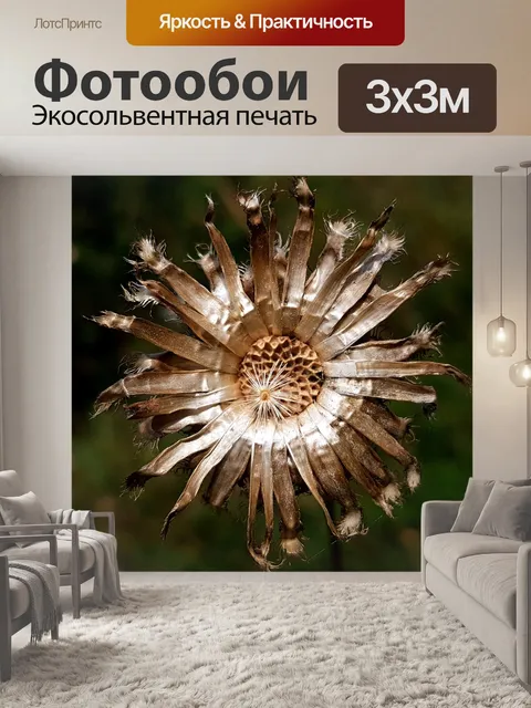 Фотообои Падение