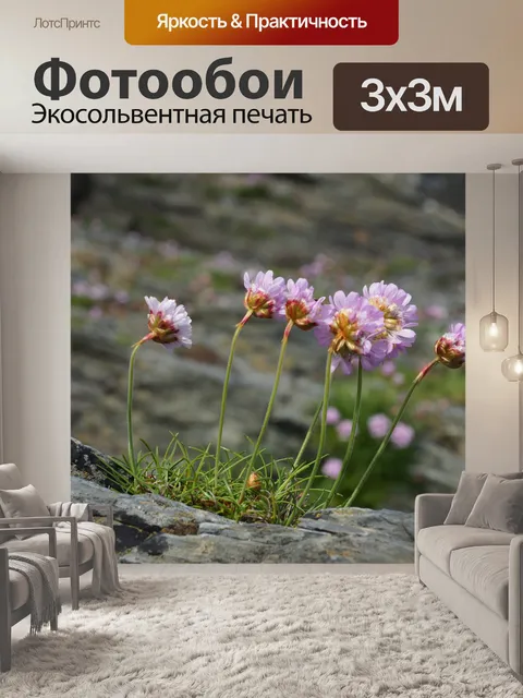 Фотообои Утес