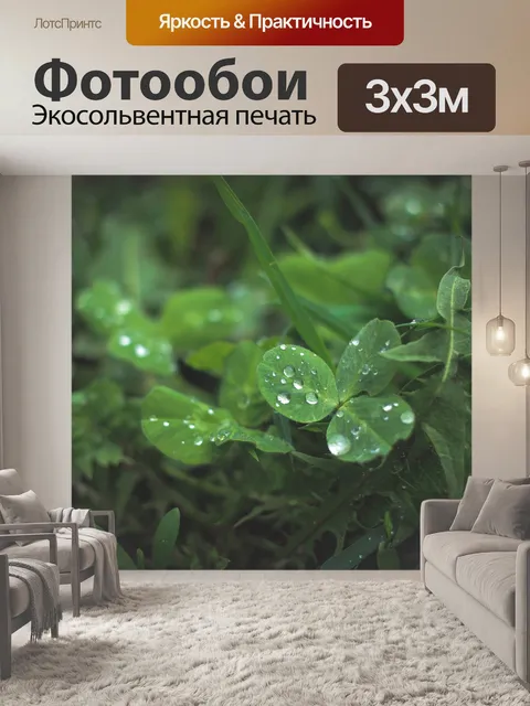 Фотообои Цветы