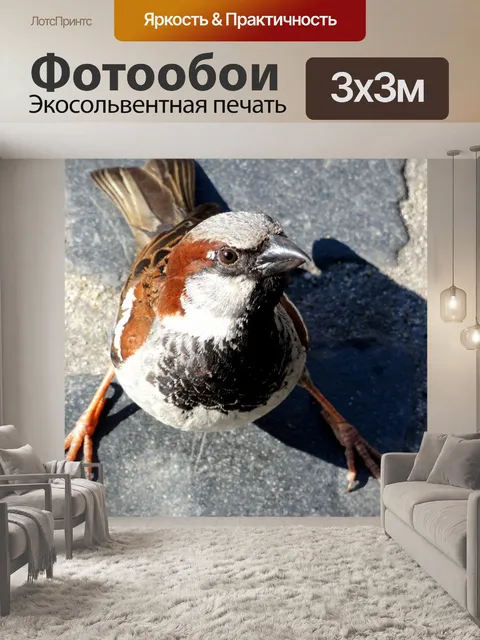 Фотообои Птица