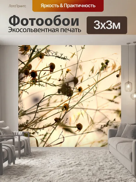Фотообои Мягкие цветы силуэт