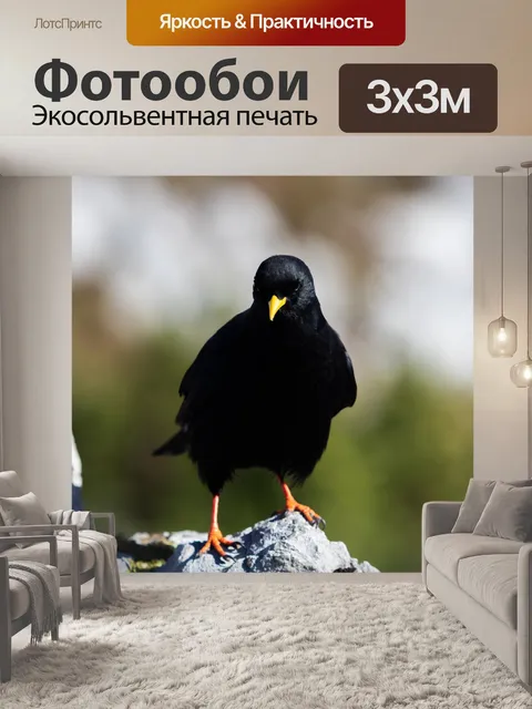 Фотообои Птицы