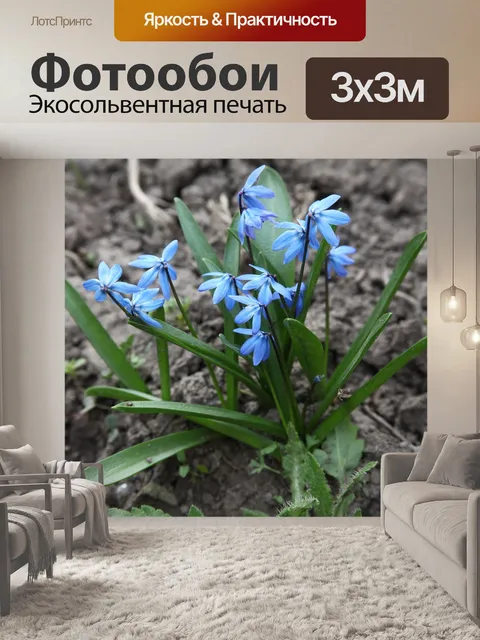 Фотообои Синие цветы