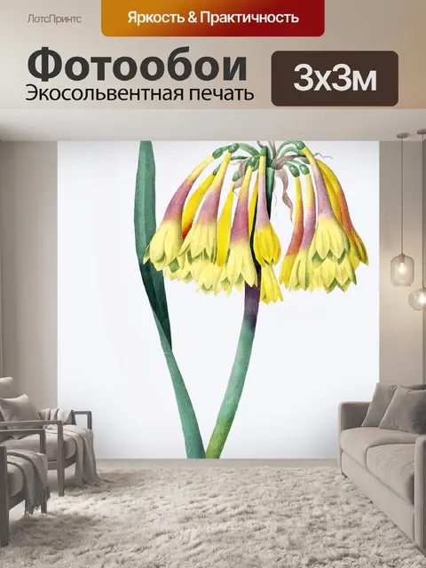 Фотообои Старинное цветочное искусство старое