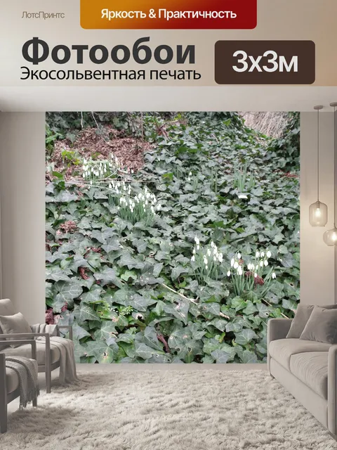 Фотообои Подснежники