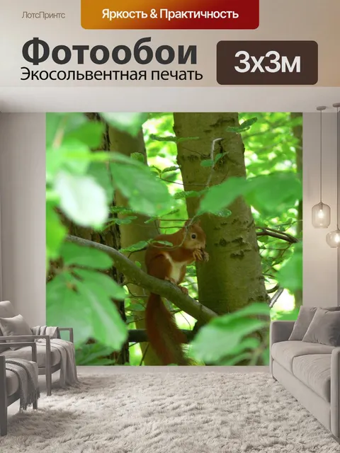 Фотообои Белка