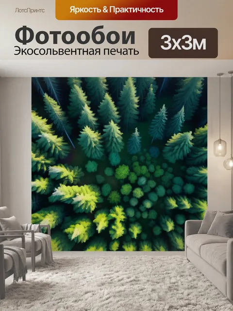 Фотообои фотография с высоты птичьего полета над лесом