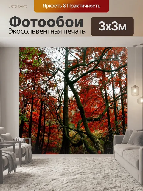 Фотообои Осень