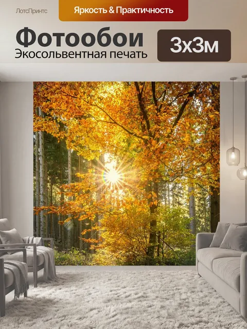 Фотообои Лес