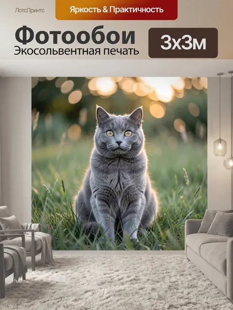 Фотообои Серый кот на траве