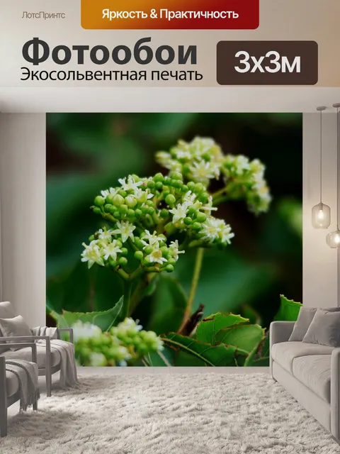 Фотообои Японская цветы изюм дерево