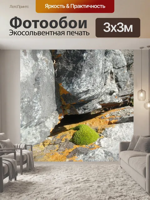 Фотообои Природа