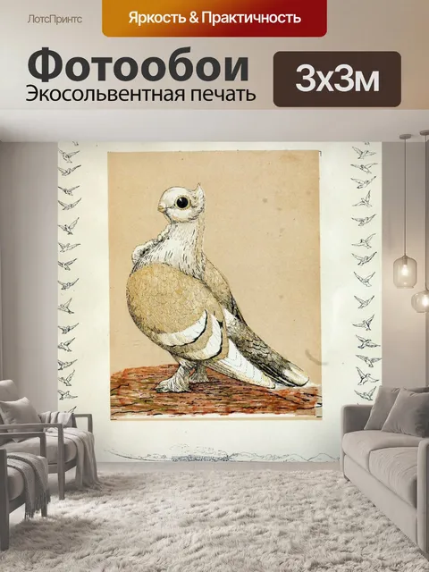 Фотообои Голубь птица винтаж старый