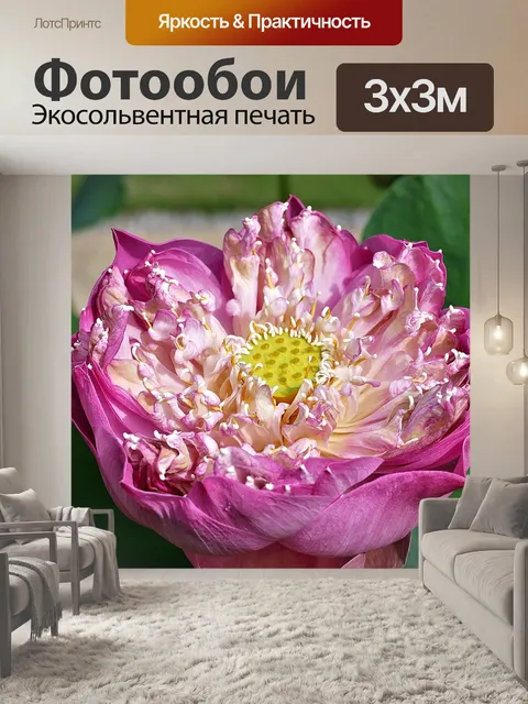 Фотообои Цветок