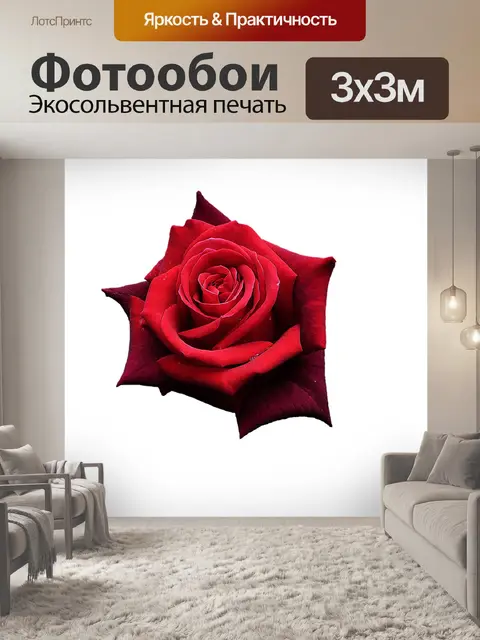 Фотообои Красная роза