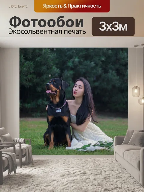 Фотообои Ротвейлер