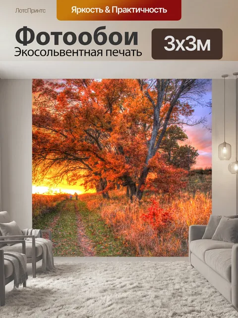 Фотообои Закат за Деревья на след