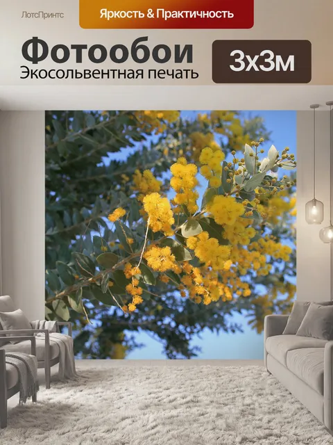 Фотообои желтые цветы на акации