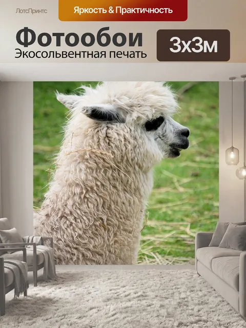 Фотообои Лама