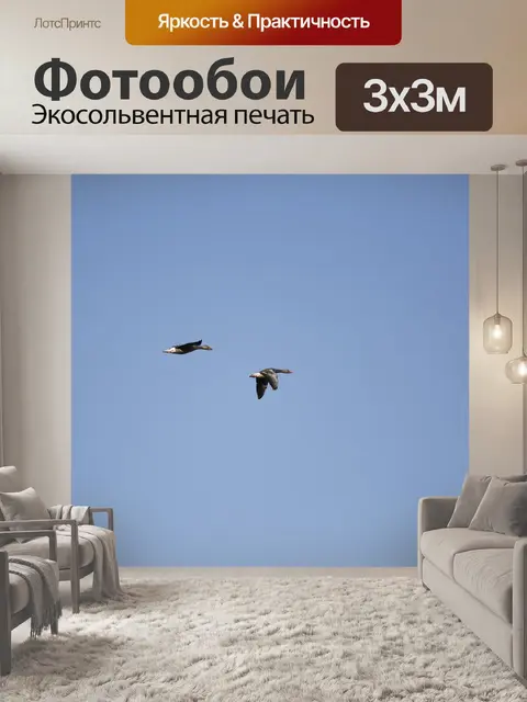 Фотообои Утки рейса