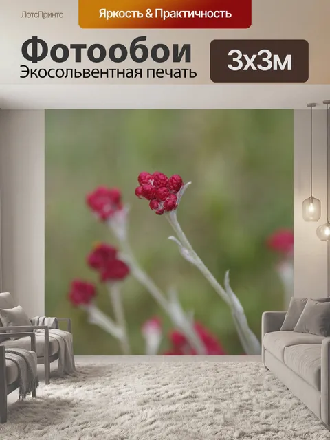 Фотообои Уайлдфлауэр - кровь Маккавеев