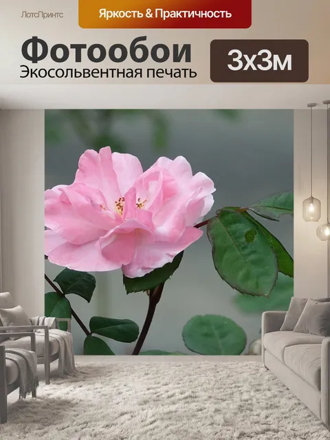 Фотообои Розовый