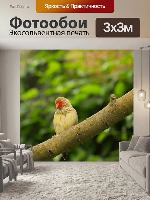 Фотообои Сад бабочек бенальмадена