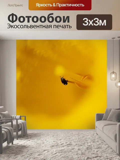 Фотообои Макрос