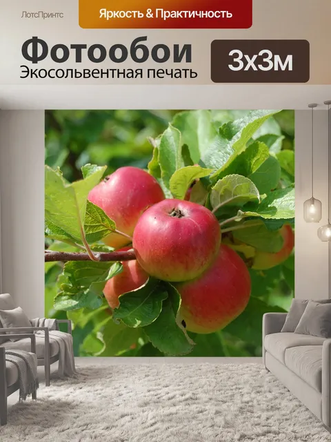 Фотообои Яблоки