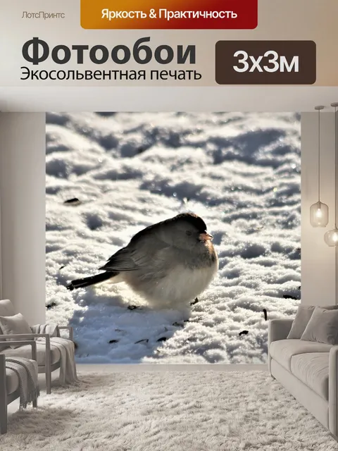 Фотообои Черноглазая Юнко в Снеге 2