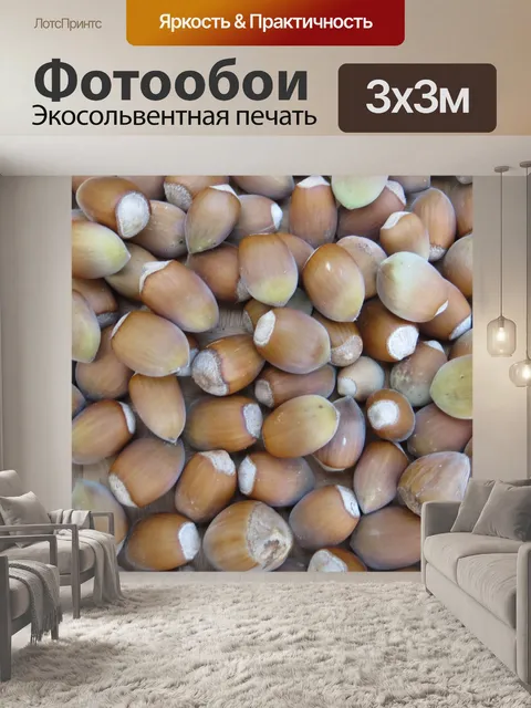 Фотообои Фундук