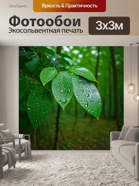 Фотообои лес с дождевыми каплями, собранными на листьях