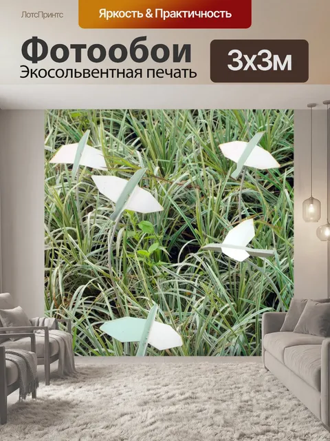 Фотообои Модель Птицы в траве