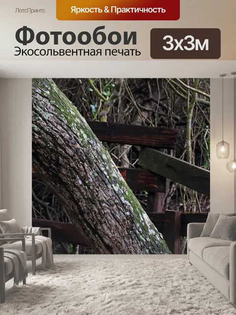 Фотообои кора дерева с лишайником и мхом