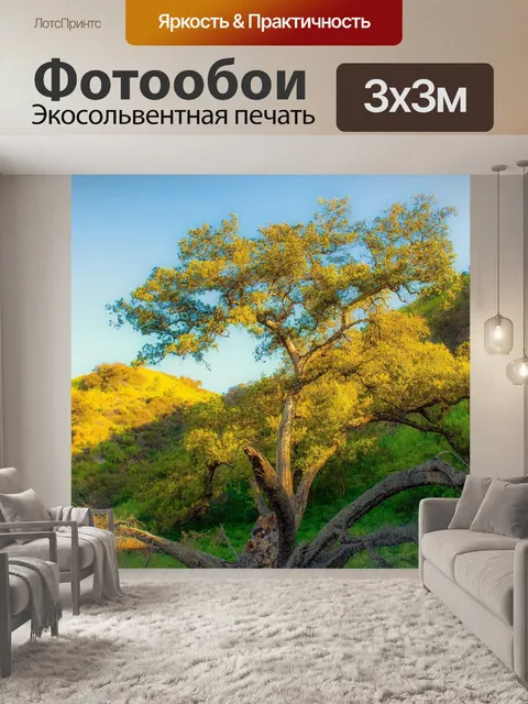 Фотообои Дерево