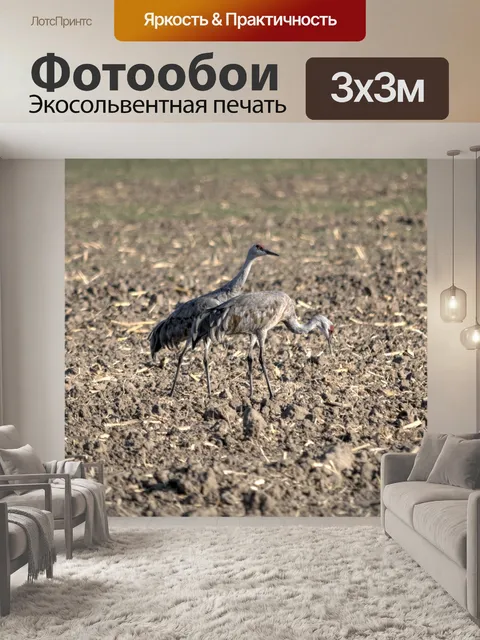 Фотообои Два крана