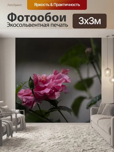 Фотообои Розовый цветок гибискуса