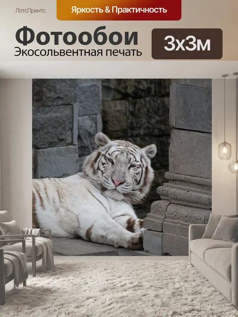 Фотообои Белый тигр