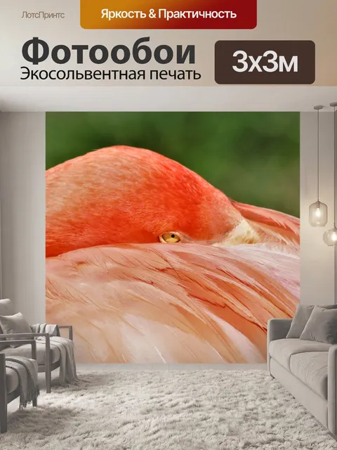 Фотообои Фламинго с головой между крыльями
