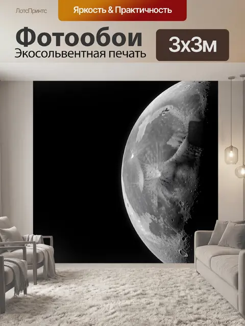 Фотообои Черно-белая поверхность Луны
