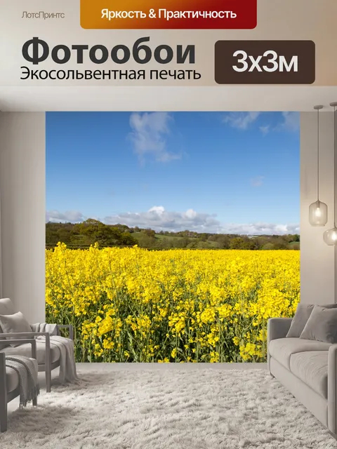 Фотообои Область желтого рапса