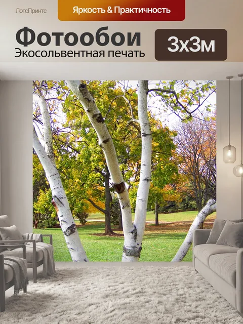 Фотообои Берч Три и других деревьев