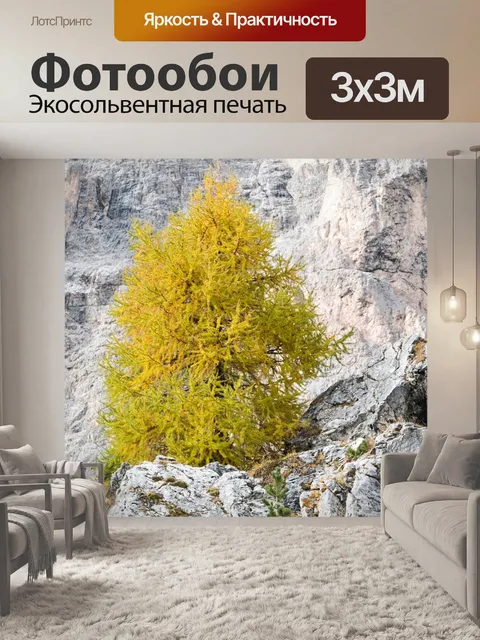 Фотообои Камень