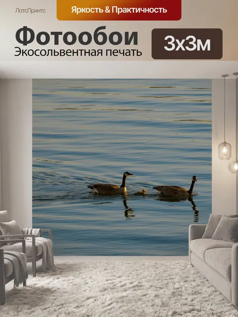 Фотообои Гуси