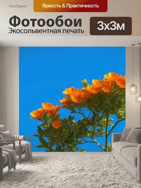 Фотообои апельсин на фоне яркого синего неба