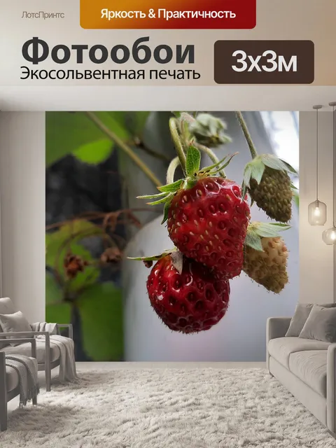 Фотообои Земляника