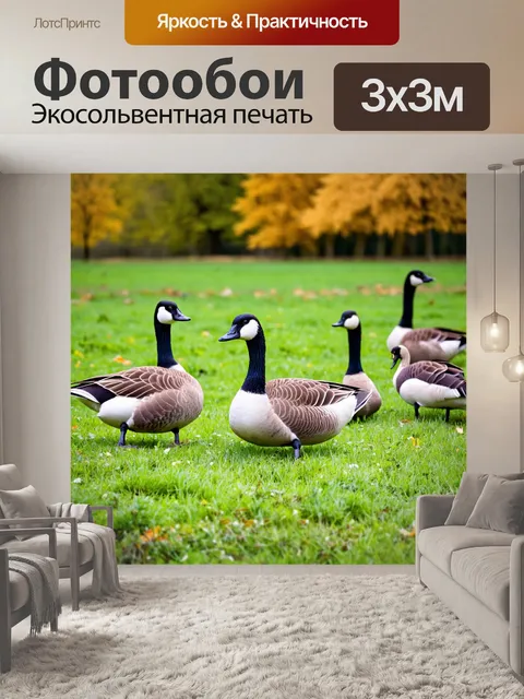 Фотообои охота на гусей на осенних полях, яркие контрастные цвета и спокойная природа