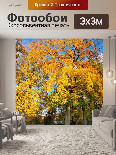 Фотообои Осеннее дерево в парке