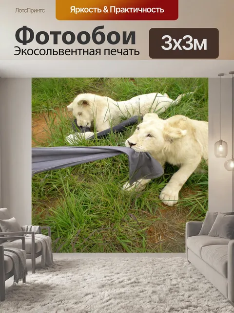Фотообои Белые львы буксира о войне