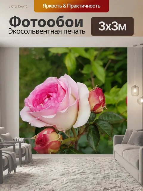 Фотообои Розовый